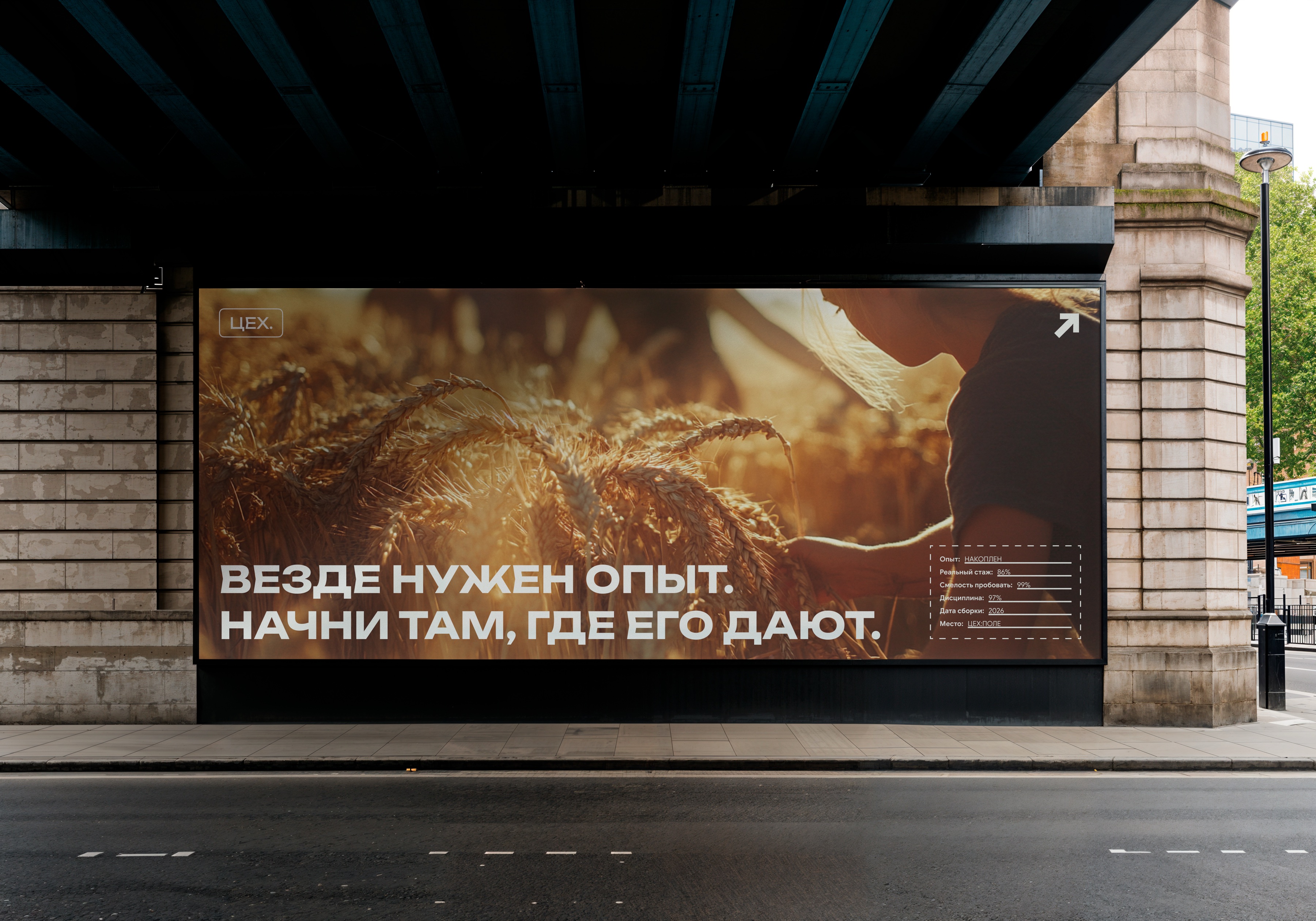 Билборд ЦЕХ «Везде нужен опыт. Начни там, где его дают»